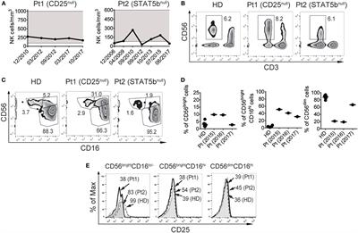 Primary Immunodeficiencies Unravel the Role of IL-2/CD25/STAT5b in Human Natural Killer Cell Maturation